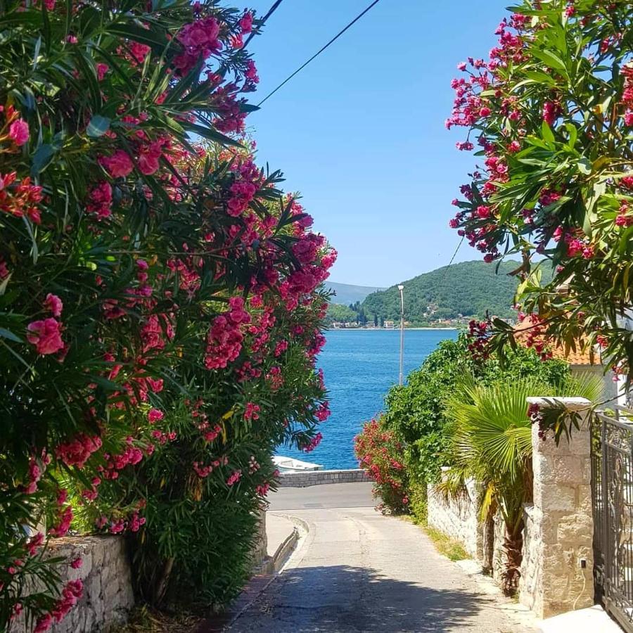 Apartments Todorovic Τίβατ Εξωτερικό φωτογραφία